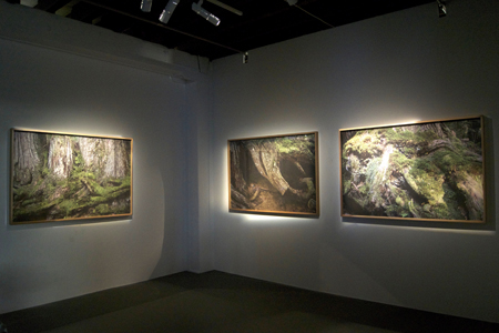 Inner Landscapes, Installation View
