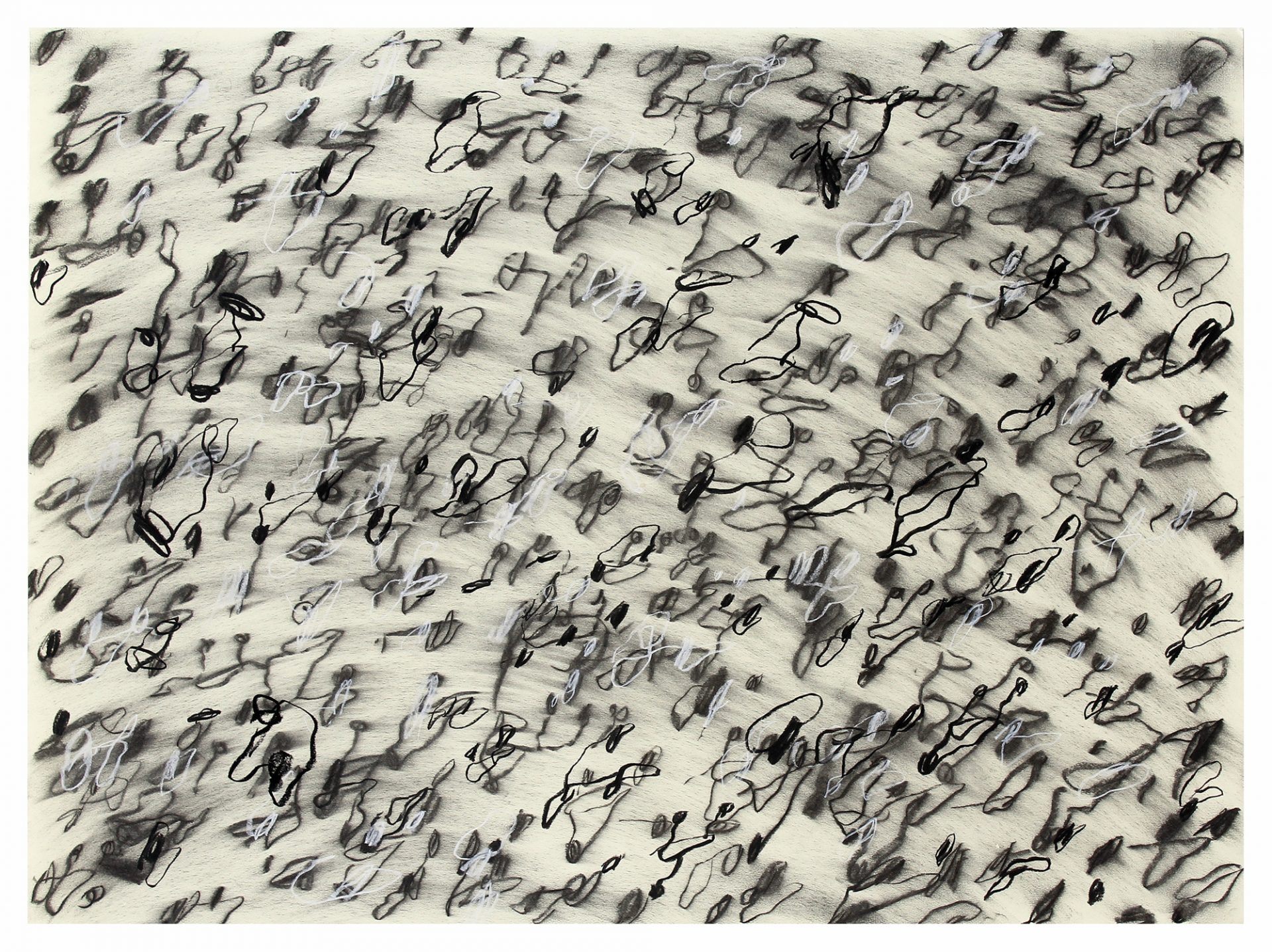 Matthew Bromhead is a finalist in this years Adelaide Perry Drawing Prize with his work Test Sheet