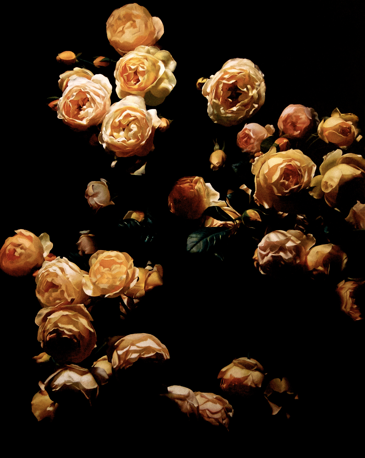 Roses 02