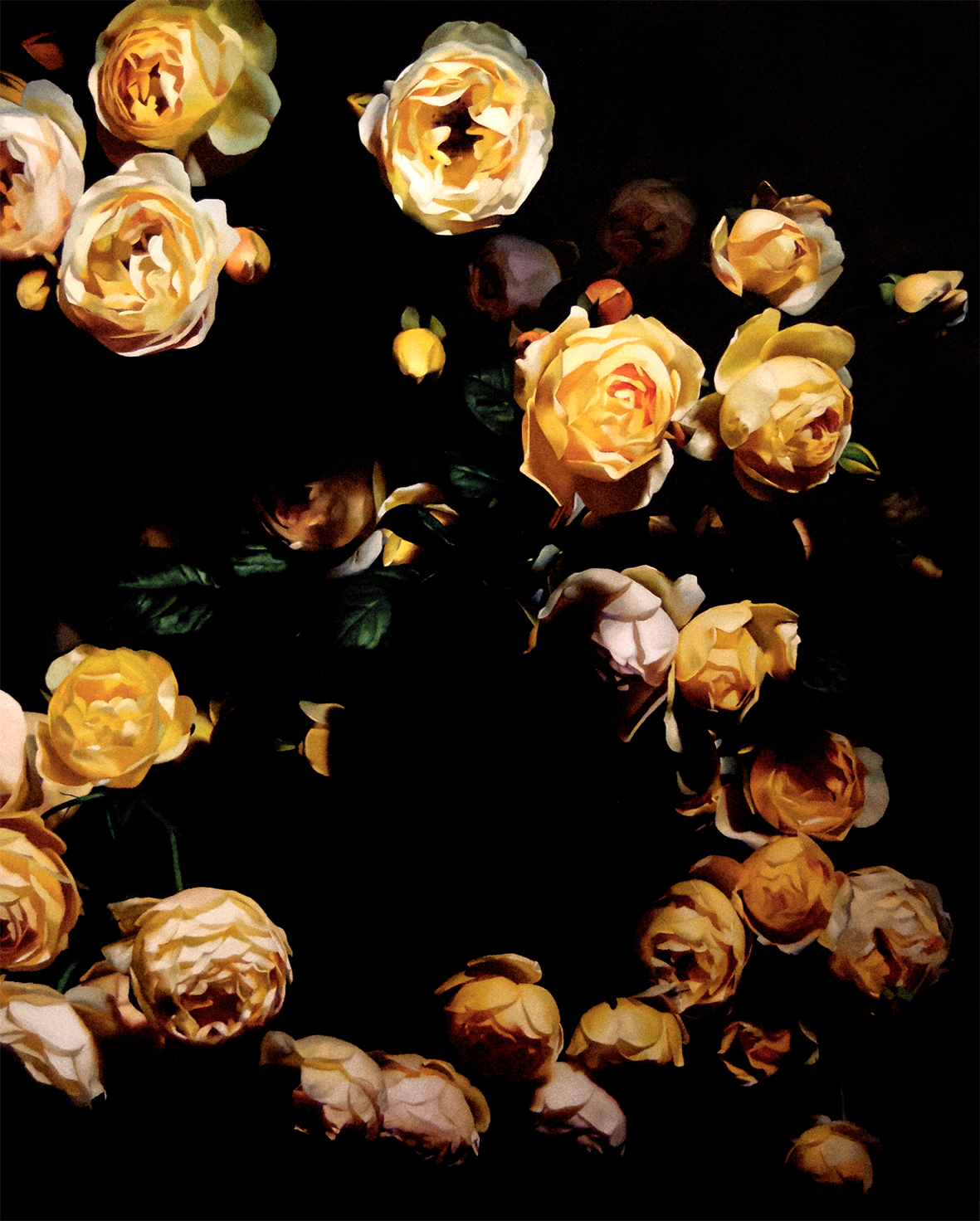 Roses 07