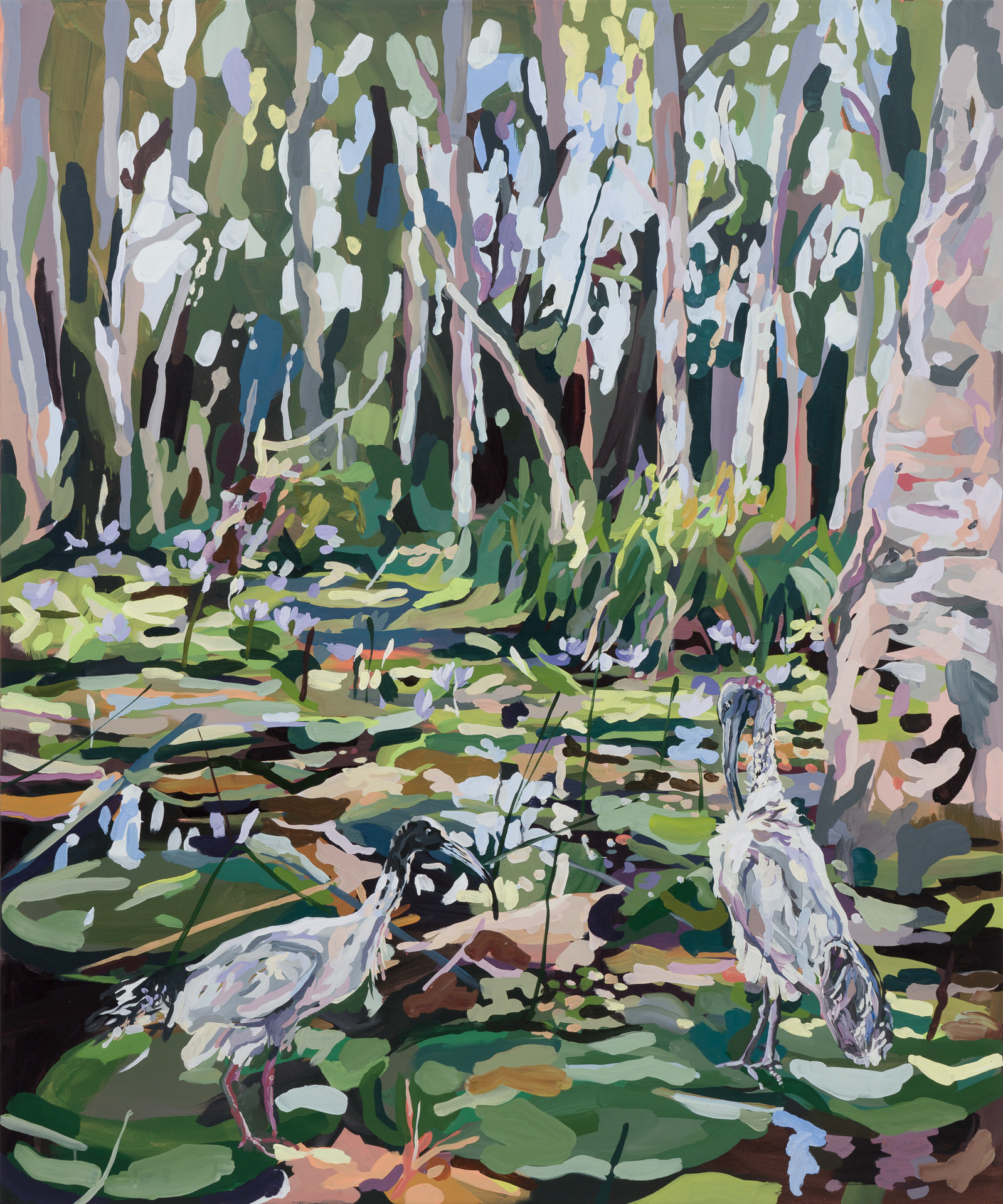 Ibis preening in the swamp